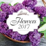 український календар на 2017 рік