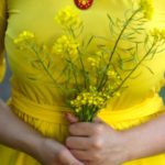 вишивка хрестиком