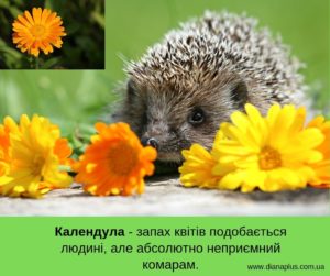 засіб від комарів