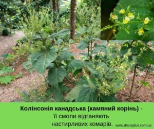 засіб від комарів
