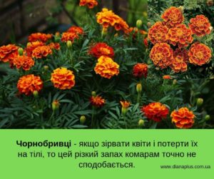 засіб від комарів