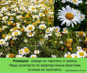 засіб від комарів