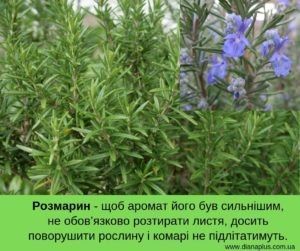 засіб від комарів