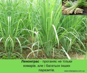 засіб від комарів